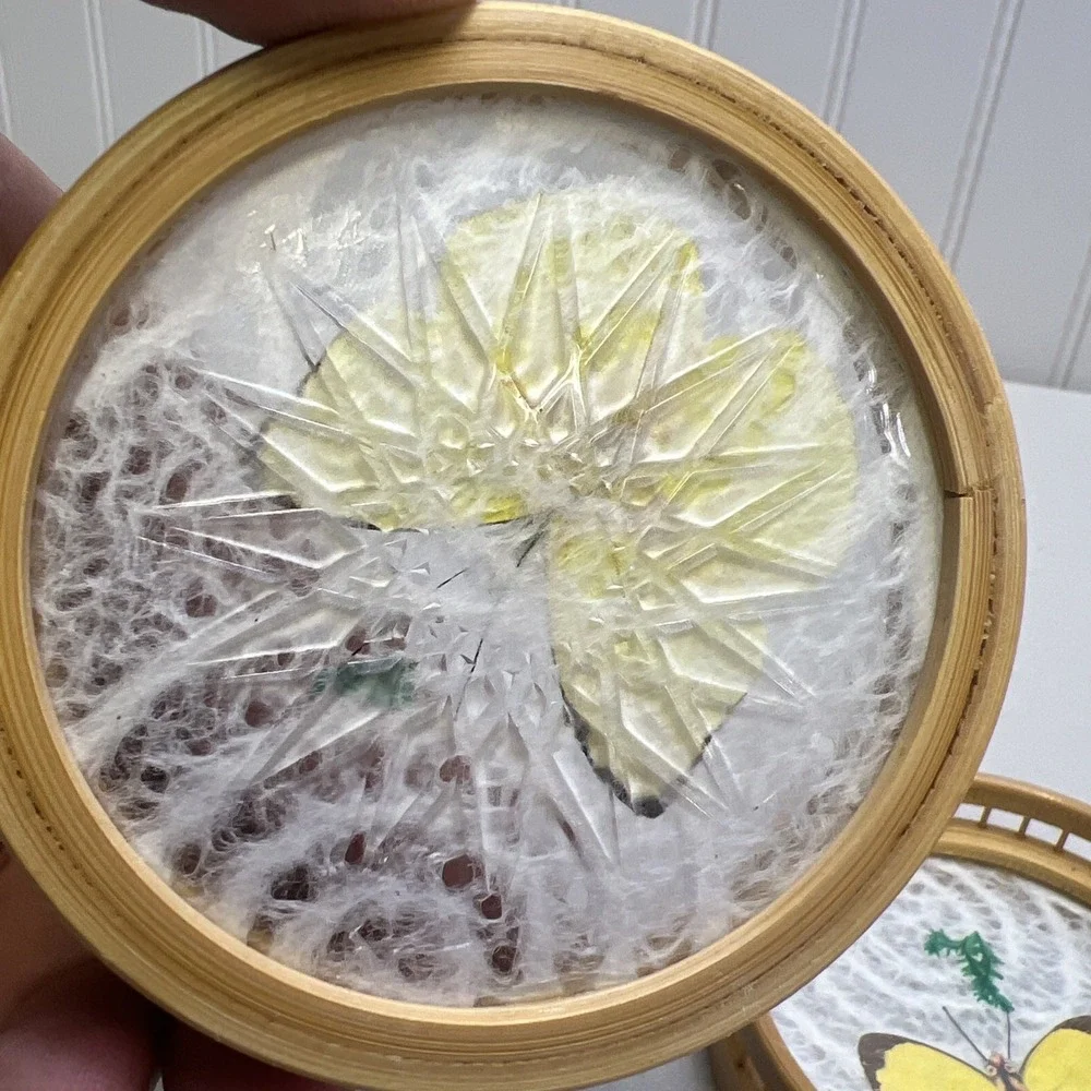 Set Of 2 Vintage Bamboo Acrylic Coaster w/ Real Pressed Butterfly